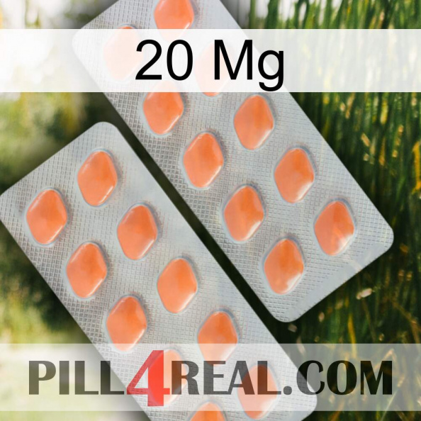 20 Mg 27